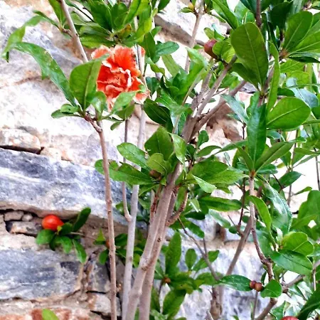 Industrial Loft - Le Petit Bati