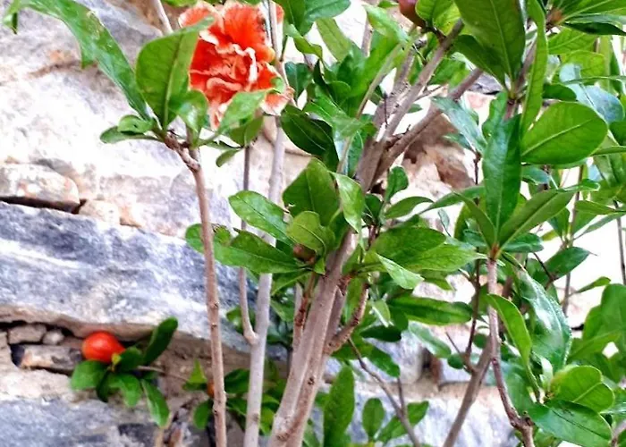 Industrial Loft - Le Petit Bati