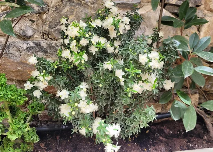 Industrial Loft - Le Petit Bati *