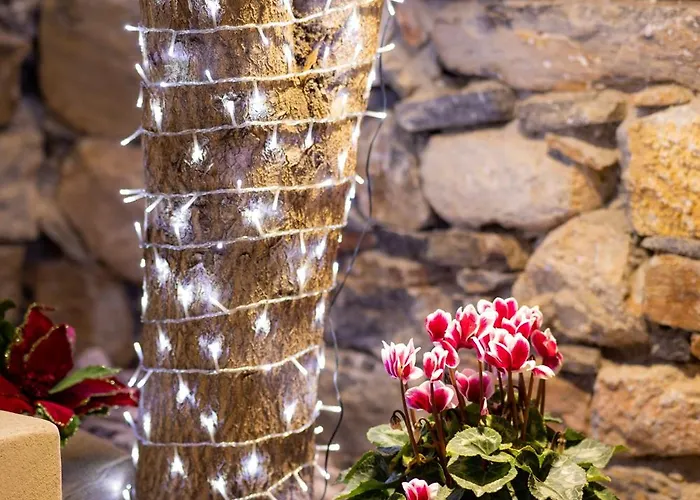 Διαμέρισμα Industrial Loft - Le Petit Bati Βόλος