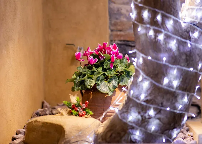 Industrial Loft - Le Petit Bati