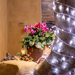 Industrial Loft - Le Petit Bati