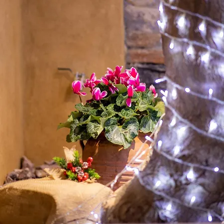 Industrial Loft - Le Petit Bati